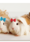 hamsters met strikjes