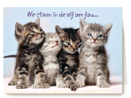 Kittens