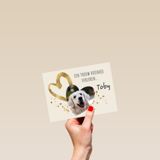 Condoleance rozen wit