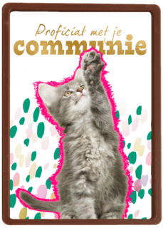 Proficiat met je communie kat