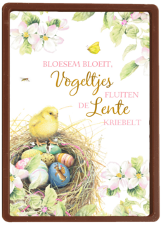 Paaskaart Marjolein Bastin Vogeltjes fluiten
