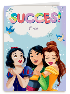 Succes kaart Disney prinsessen