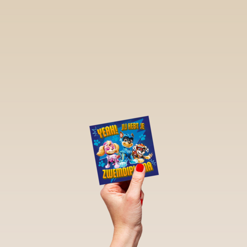 paw patrol zwemdiploma kaart