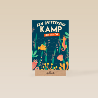 Sporta een spetterend kamp