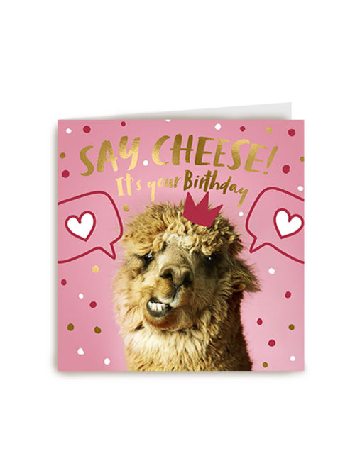 Verjaardagskaart Hallmark | Llama Say Cheese