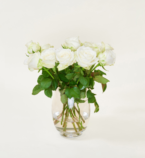 Brievenbusbloemen Rozen Wit