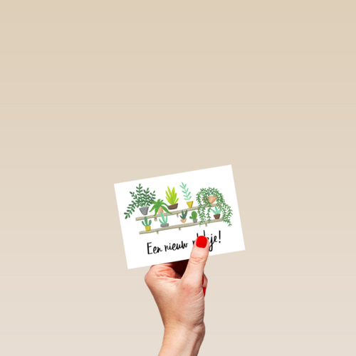 een nieuw plankje voor je planten