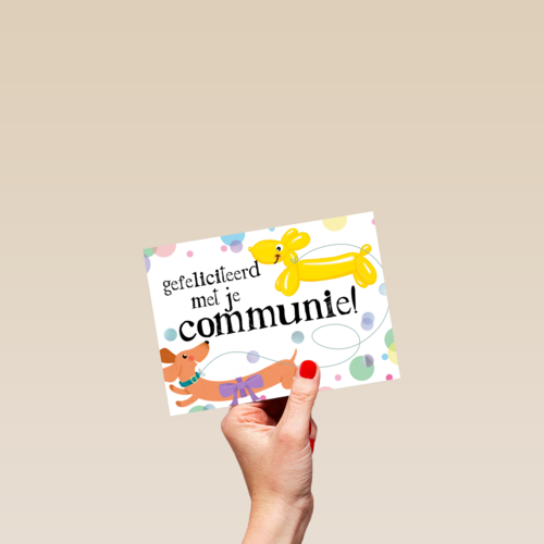 ballondier gefeliciteerd met je communie