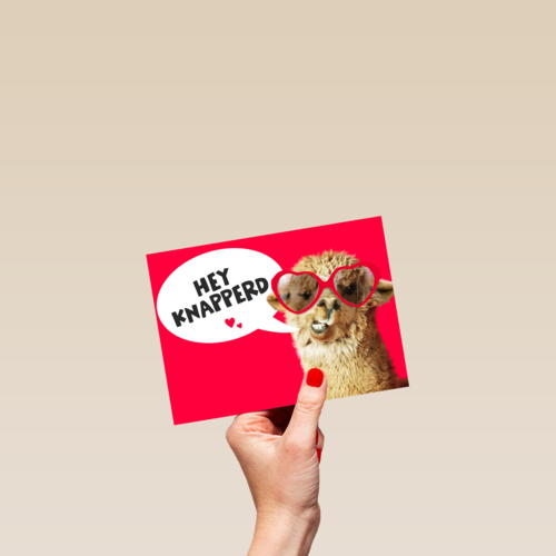 valentijnskaart grappig hey knapperd lama