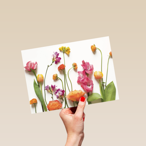 veldbloemen