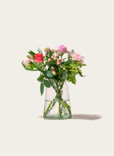Brievenbusbloemen Pink Touch