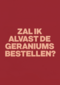 verjaardag kaart andc zal ik de geraniums alvast bestellen