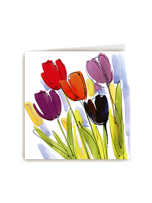 Chromazone Tulpen
