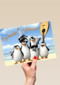 Op kamp yaai Penguins