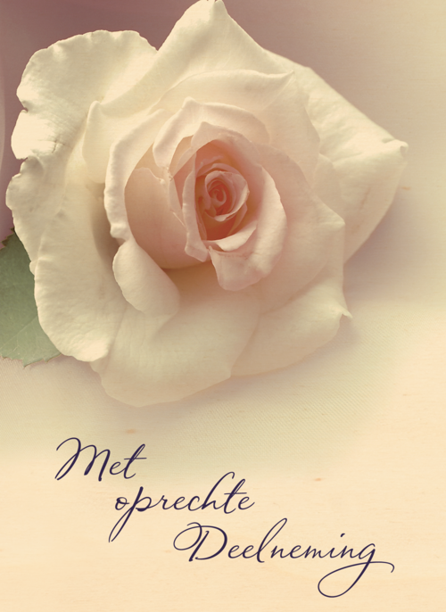 Houten Kaart Condoleance Kaarten | Houten Kaart Hallmark | Condoleance Kaarten | Deelneming Met Roos