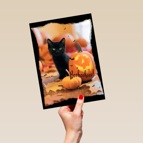 Zwarte kat met pompoen