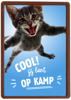 Cool Jij Bent Op Kamp Kat