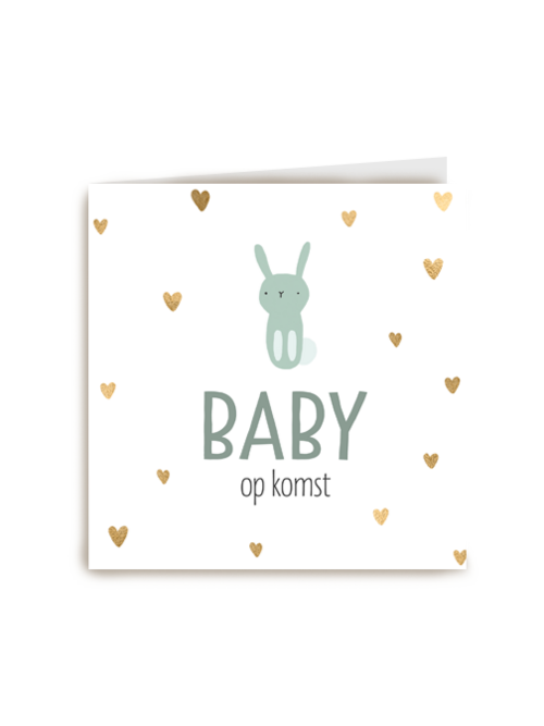 zwangerschap aankondiging baby zoon op komst