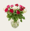Brievenbusbloemen Roze Rood Mix 