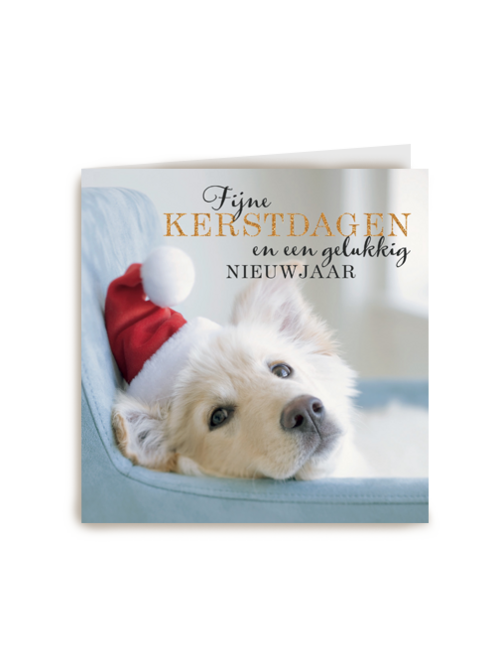 xmas fijne kerstdagen en een gelukkig nieuwjaar