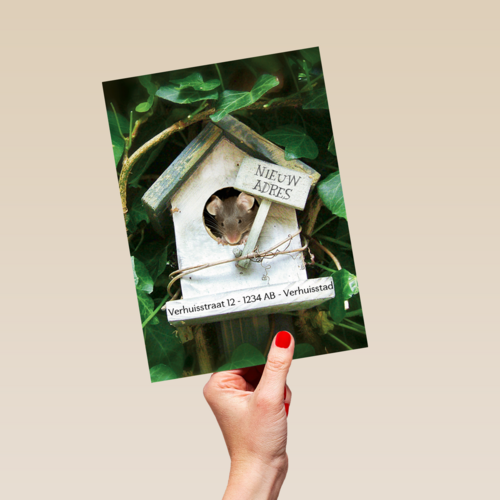 verhuizen nieuw adres vogelhuis