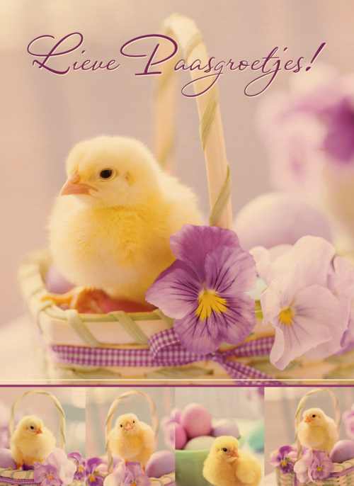 Houten Kaart Pasen | Hallmark | Houten Kaart Hallmark | Pasen | Kuiken In Mandje Met Viooltje Lieve Paasgroetjes