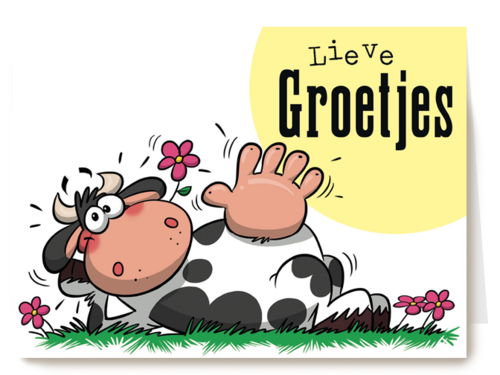 Kaart | Hallmark | Zomaar | Funny Mail Lieve Groetjes