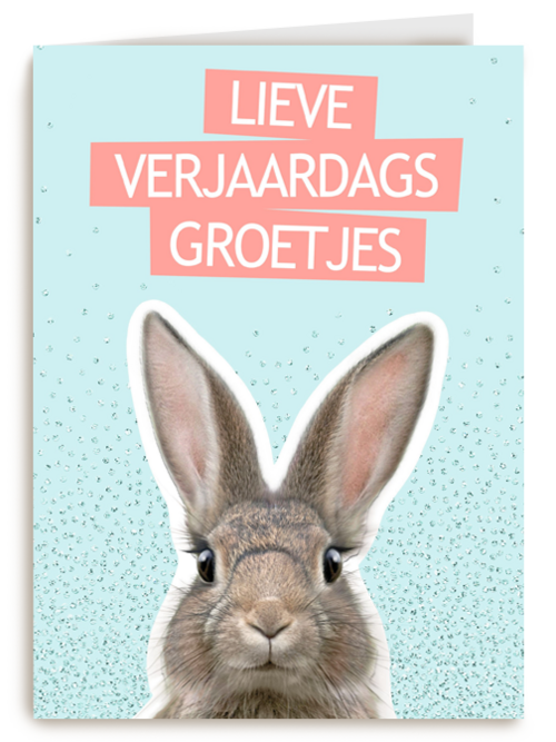 een konijntje voor je verjaardag