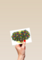 funny mail blanco bos bloemen