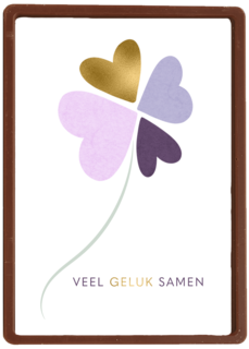 Love Story Veel Geluk Samen