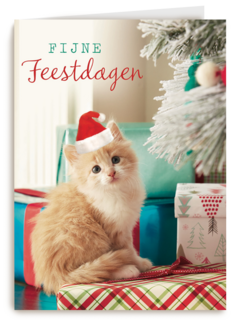 kerstkaart fijne feestdagen feest