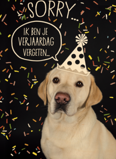 sorry ik ben je verjaardag vergeten