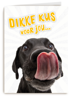 Beterschapskaart Lieve hond Dikke kus voor jou