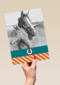 fotokaart voor paarden