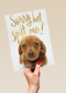 verjaardag te laat sorry het spijt me puppy