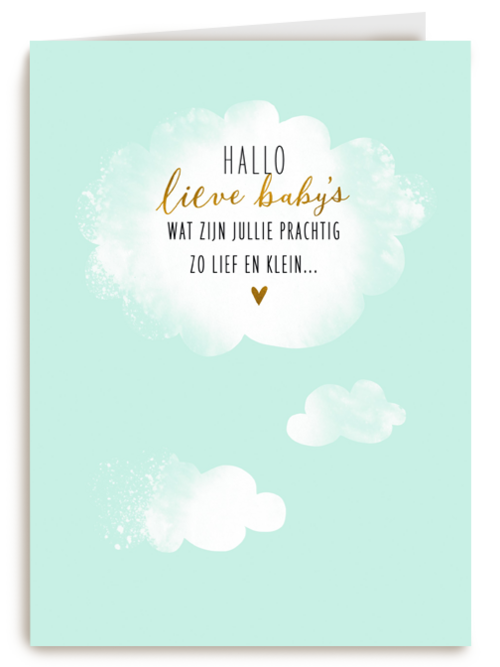 babykaart meerling hallo lieve babys groene achtergrond