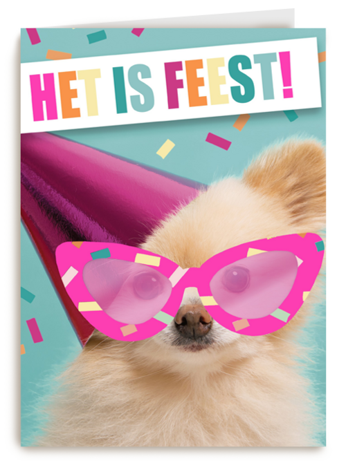 Verjaardagskaart Hallmark | Het Is Feest Met Hond Met Bril En Hoed