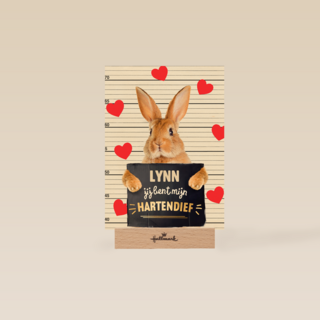 valentijn kaart konijn grappig jij bent mijn hartendief