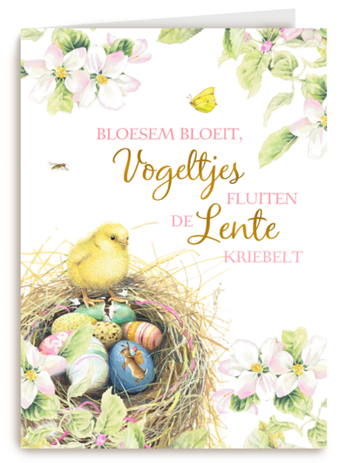 Paaskaart Marjolein Bastin Vogeltjes fluiten