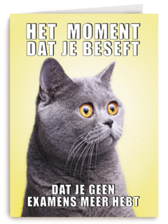 Geslaagd kaart Kat grappig