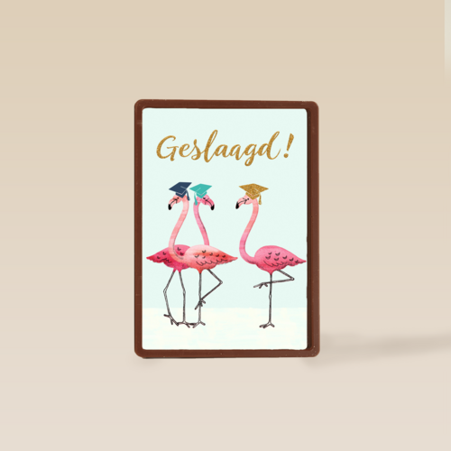 Flamingo geslaagd