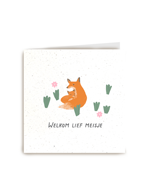 Kaart Hallmark | Geboorte Felicitatie | Geboortefelicitatie Vos Welkom Lief Meisje