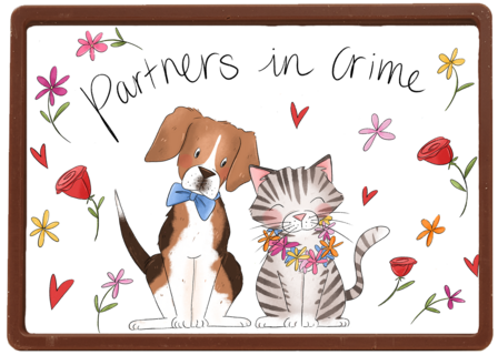 Matia Partners in crime