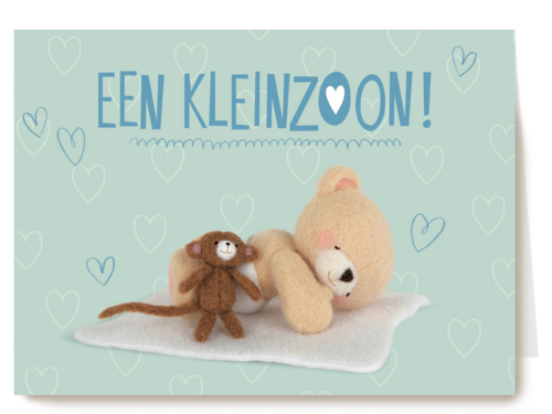 Kaart Hallmark | Geboorte Felicitatie | Een Knuffelaapje Voor Jullie Kleinzoon