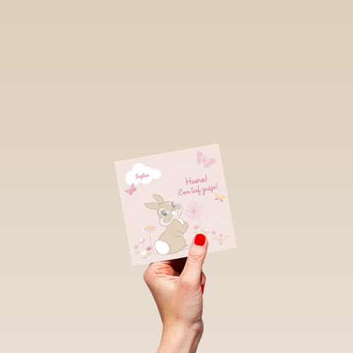 disney baby hoera een lief zusje