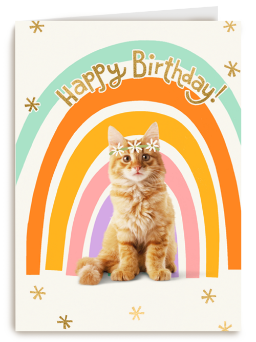 Regenboog kat Happy Birthday