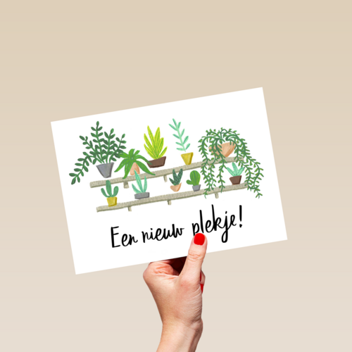 een nieuw plankje voor je planten