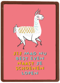 naast je lama schoenen lopen