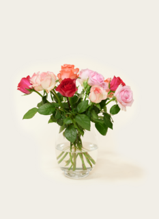 Brievenbusbloemen Rozen Pretty Pink