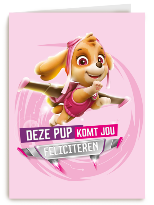 Paw Patrol deze pup komt jou feliciteren